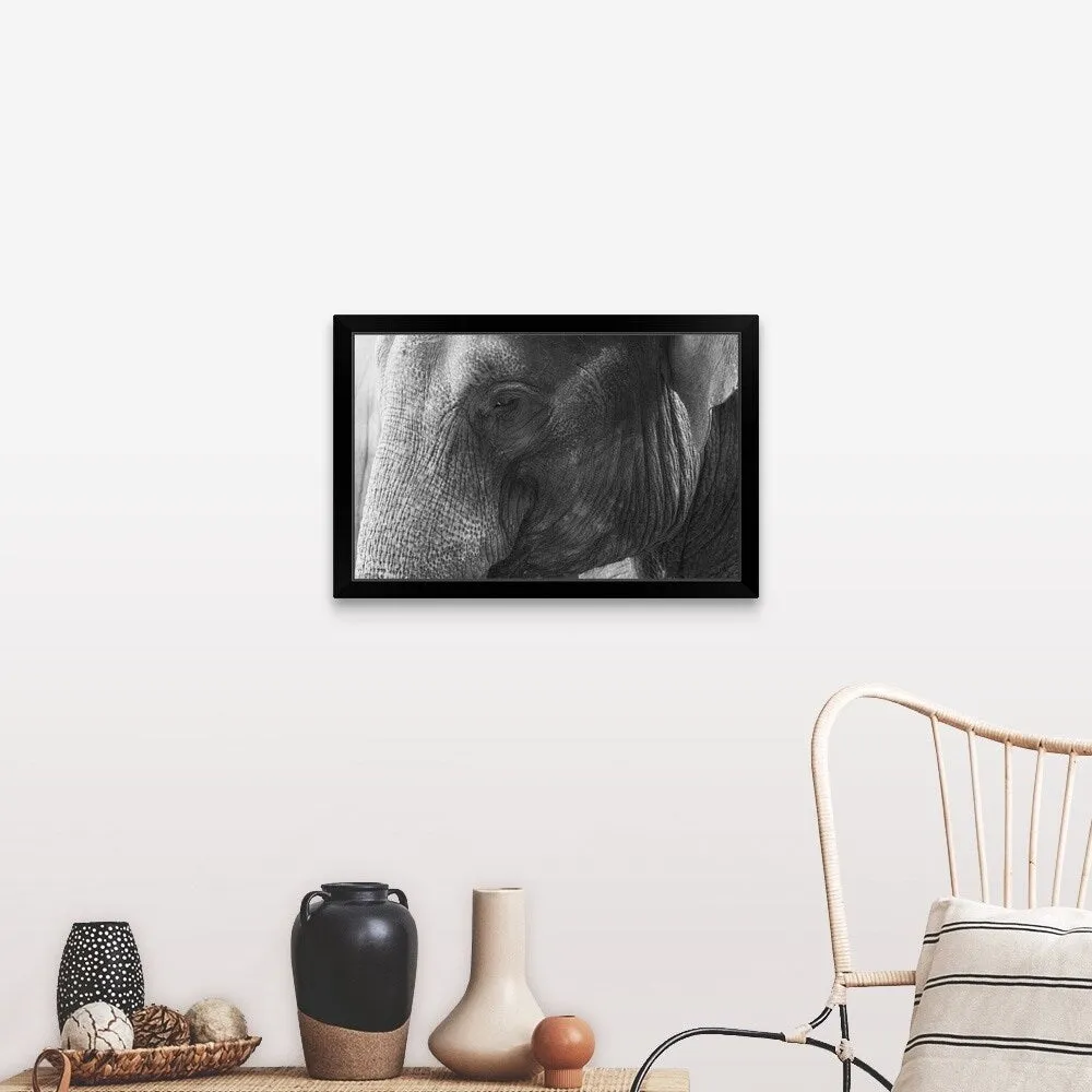 "Black and White Elephant portrait" Black Framed Print