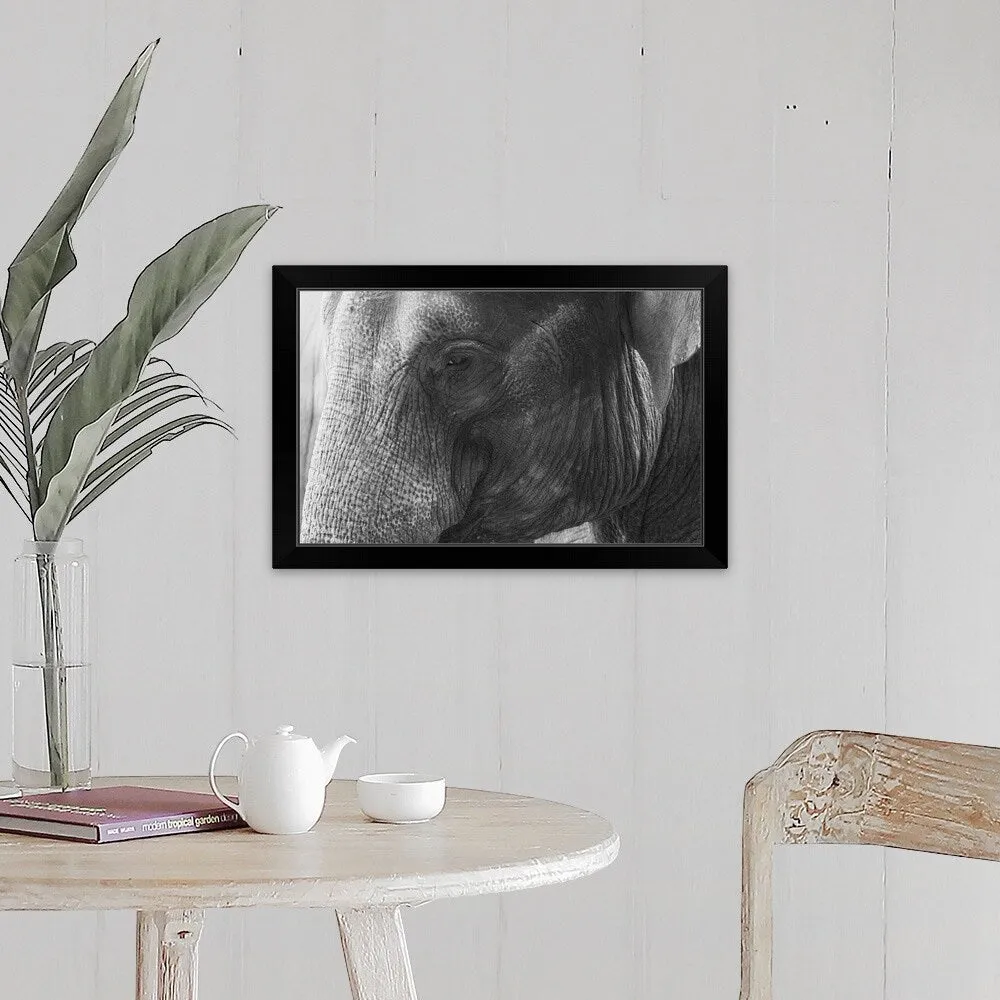 "Black and White Elephant portrait" Black Framed Print